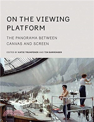 On the Viewing Platform：The Panorama between Canvas and Screen