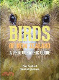 Birds of New Zealand ― A Photographic Guide