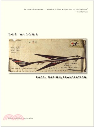 Race, Nation, Translation ― South African Essays, 1990-2013