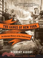 The gangs of New York :an informal history of the underworld /