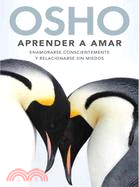 Aprender a amar/ Learning to Love