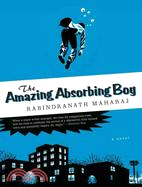 The Amazing Absorbing Boy