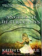 Angels of destruction :a novel /