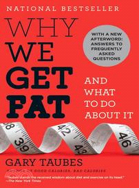 Why We Get Fat And What to Do About It