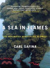 A Sea in Flames ─ The Deepwater Horizon Oil Blowout