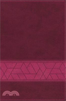 Holy Bible ― NIV, Storyline Bible, Pink, Each Story Plays a Part. See How They All Connect