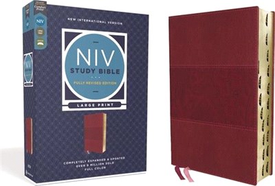 NIV Study Bible ― New International Version, Burgundy, Leathersoft, Red Letter Edition, Comfort Print