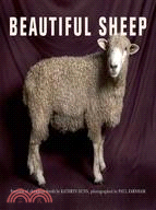 Beautiful Sheep: Portraits of Champion Breeds