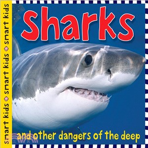 Sharks And Other Dangers of the Deep