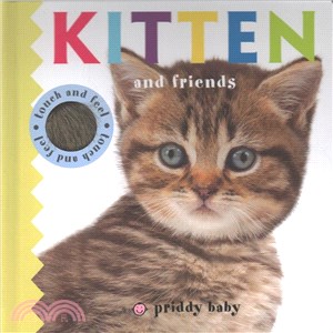Kitten and Friends