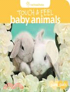 Touch & Feel, Baby Animals