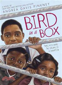 Bird in a Box