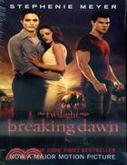 #4: Breaking Dawn