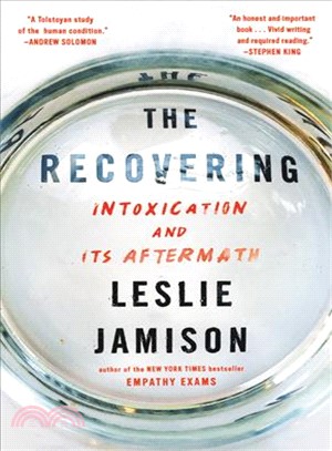 The recovering :intoxication and its aftermath /