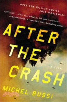 After the crash :a novel /
