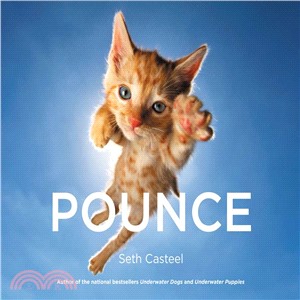 Pounce /