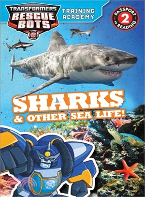 Sharks & Other Sea Life!