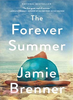 The forever summer :a novel /