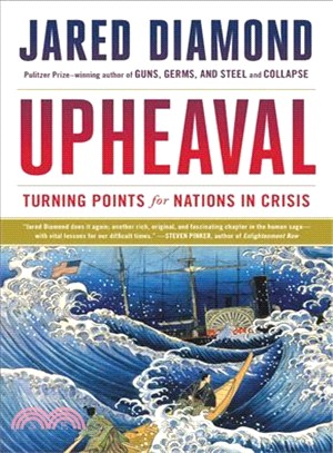 Upheaval ― Turning Points for Nations in Crisis