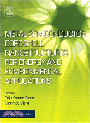 Metal Semiconductor Core-Shell Nanostructures for Energy and Environmental Applications