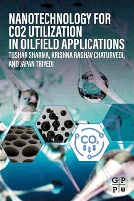 Nanotechnology for Co2 Utilization in Oilfield Applications