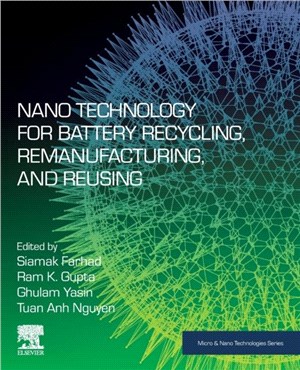 Nano Technology for Battery Recycling, Remanufacturing, and Reusing