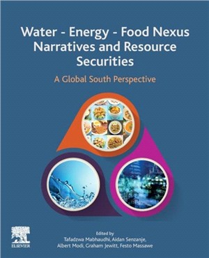 Water - Energy - Food Nexus Narratives and Resource Securities：A Global South Perspective