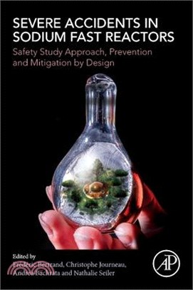 Severe Accidents in Sodium Fast Reactors: Safety Study Approach, Prevention and Mitigation by Design