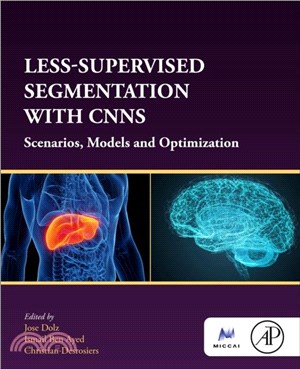 Less-supervised Segmentation with CNNs：Scenarios, Models and Optimization