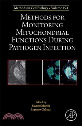 Methods for Monitoring Mitochondrial Functions During Pathogen Infection