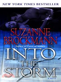 Into the Storm ─ A Novel