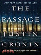 The passage :a novel /