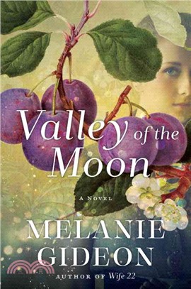 Valley of the moon :a novel ...