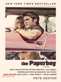 The paperboy :a novel /