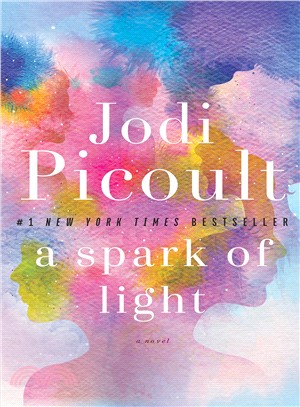 A spark of light :a novel /