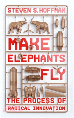 Make Elephants Fly：The Process of Radical Innovation