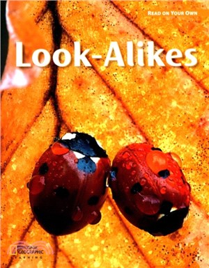 Read On Your Own Grade 3A: Look-Alikes