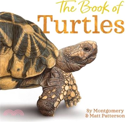 The book of turtles /