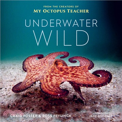 Underwater Wild: My Octopus Teacher\