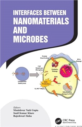 Interfaces Between Nanomaterials and Microbes