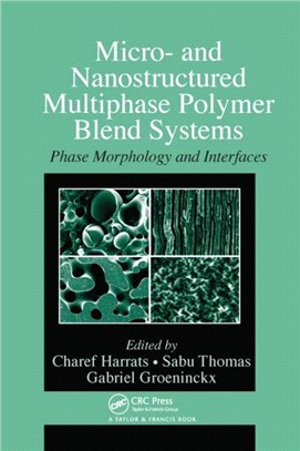 Micro- and Nanostructured Multiphase Polymer Blend Systems：Phase Morphology and Interfaces