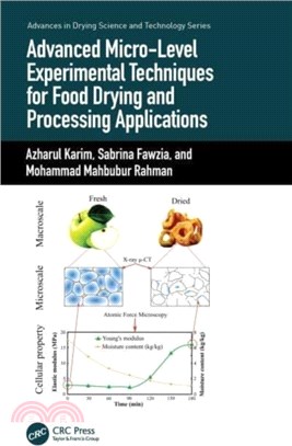 Advanced Micro-Level Experimental Techniques for Food Drying and Processing Applications