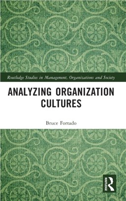 Analyzing Organization Cultures