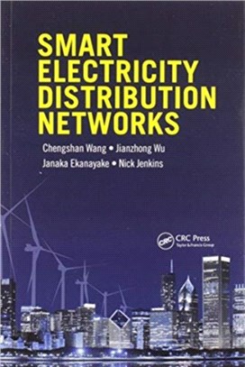 Smart Electricity Distribution Networks