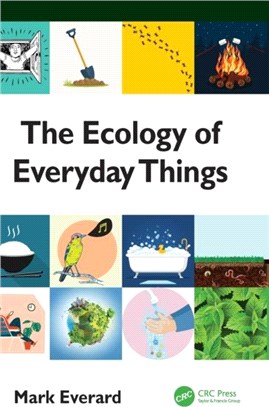 The Ecology of Everyday Things