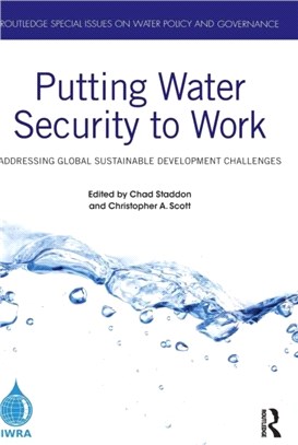 Putting Water Security to Work：Addressing Global Sustainable Development Challenges