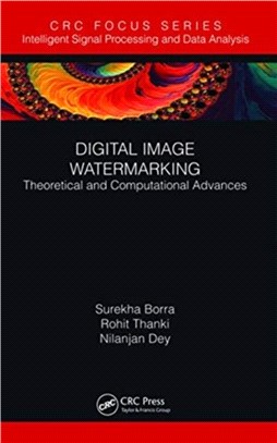 Digital Image Watermarking：Theoretical and Computational Advances