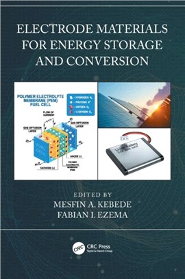 Electrode Materials for Energy Storage and Conversion