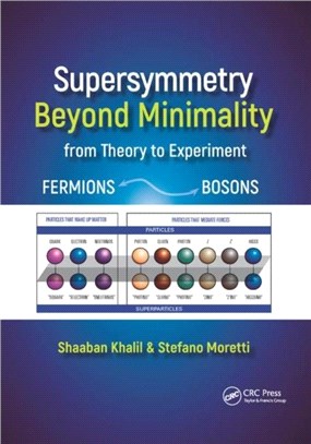 Supersymmetry Beyond Minimality：From Theory to Experiment