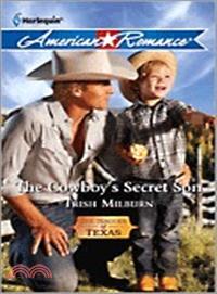 The Cowboy's Secret Son